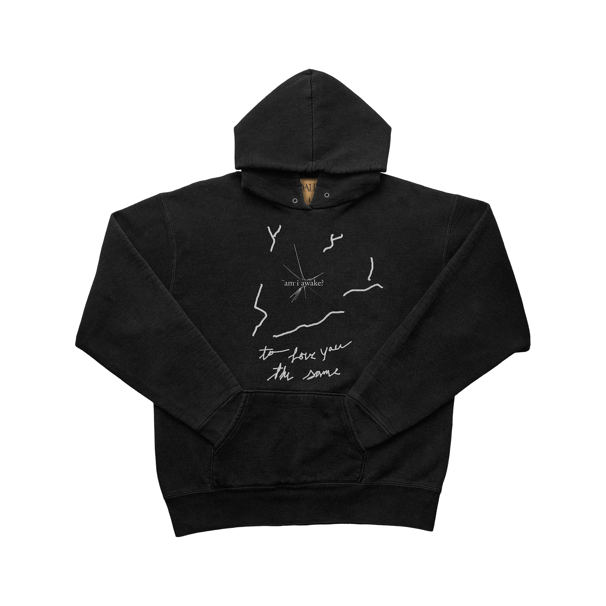 am i awake? Hoodie